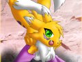 Renamon___for_Kitsune222_by_KnifeH.jpg